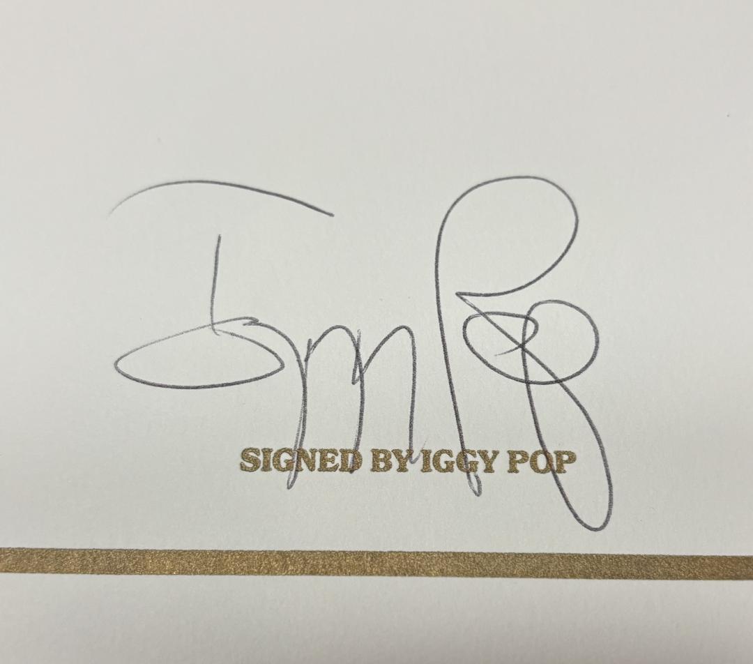 Iggy Pop:Total Chaos The Stooges 限定本サイン付