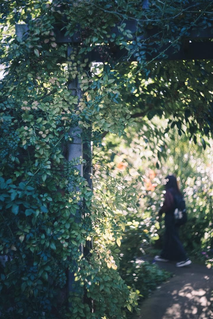 山崎ズマール！Leica Bluecoted Summar 50mm F2