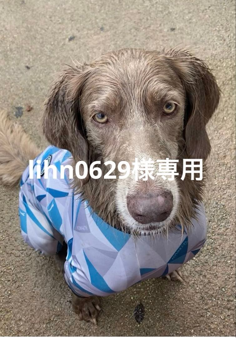 lihn0629, ALPHAICONフルドックガードXL