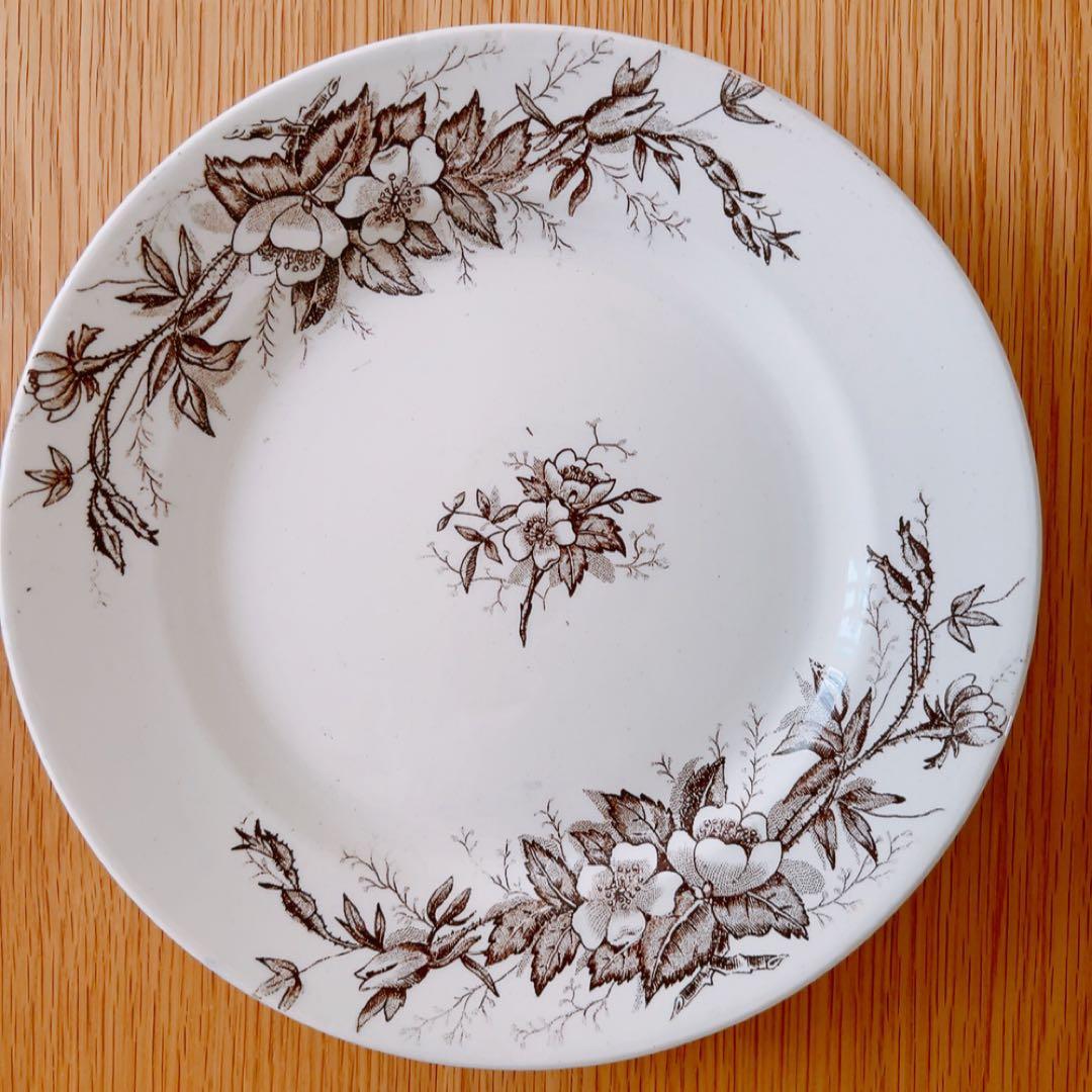 Choisy le roi ショワジールロワ EGLANTINES