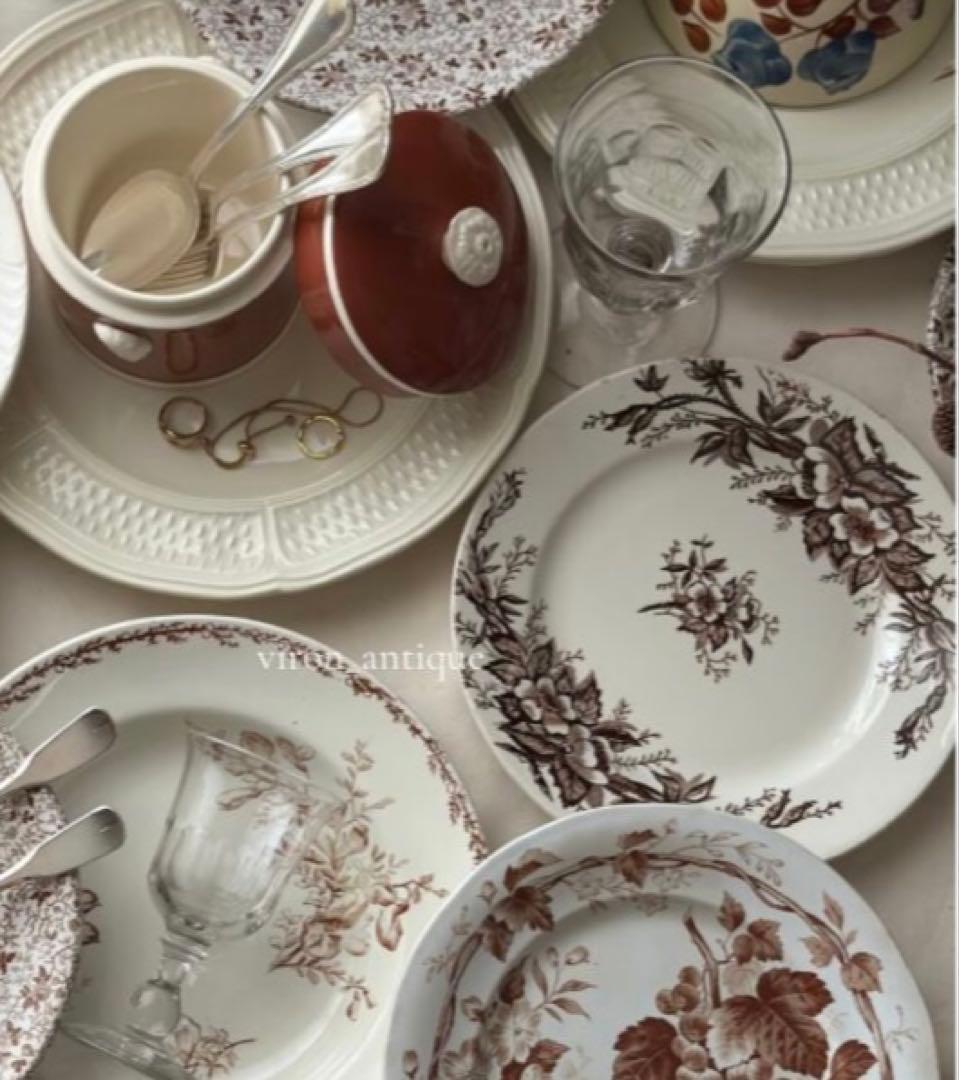 Choisy le roi ショワジールロワ EGLANTINES