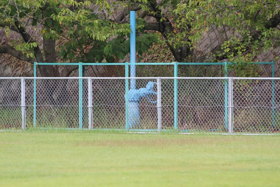 【ケース付き】 キャノン Canon EF 300mm F2.8 L USM