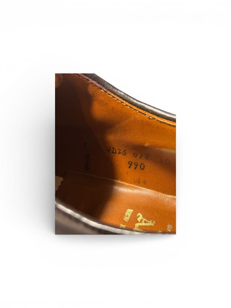 こんにゃく　Alden 990 サイズ7