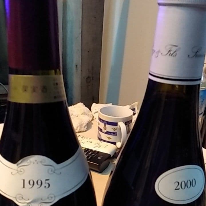 ジュベシャンベルタンクロペリエール1995サビニーボーヌ2000