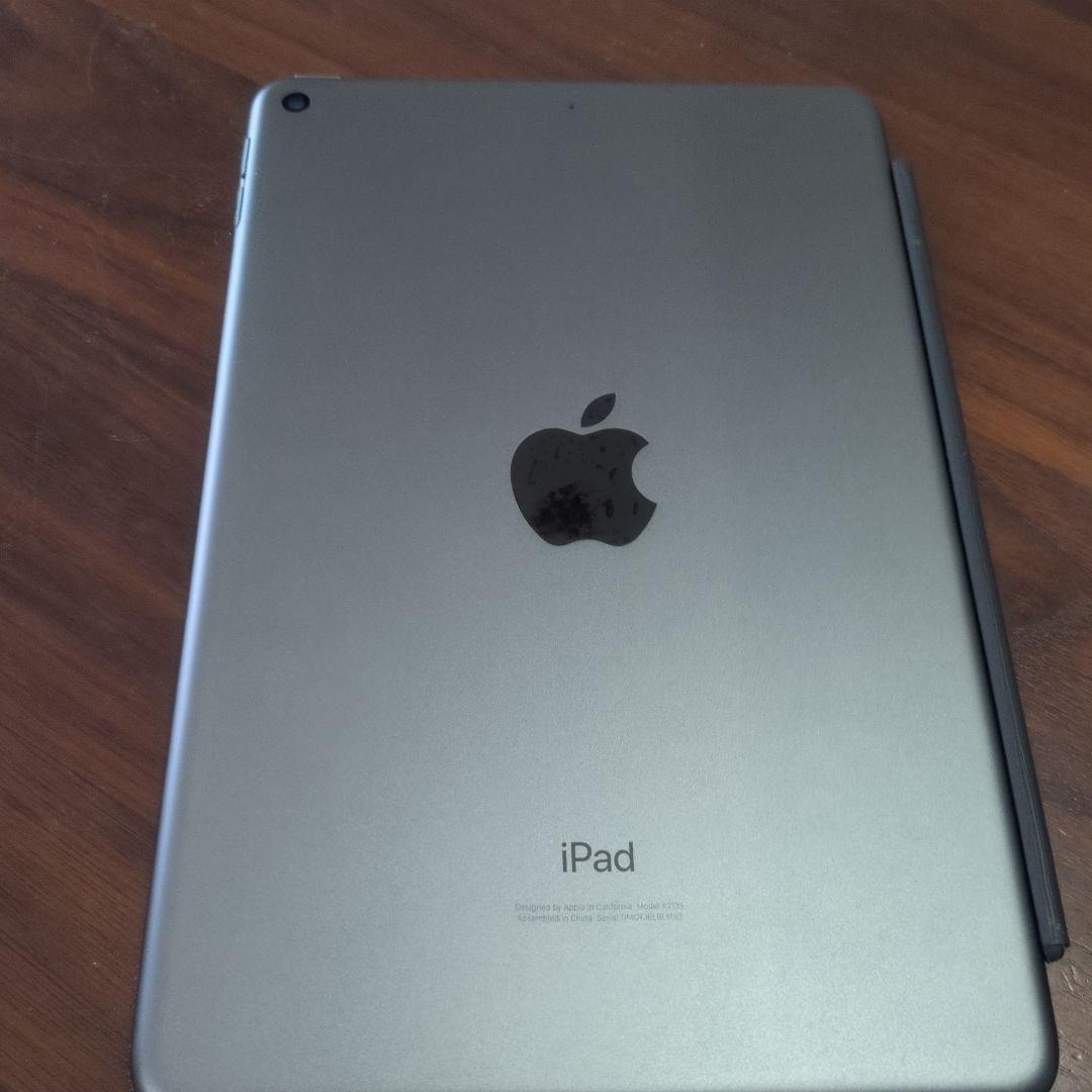 iPad mini 5本体　カバーはおまけ
