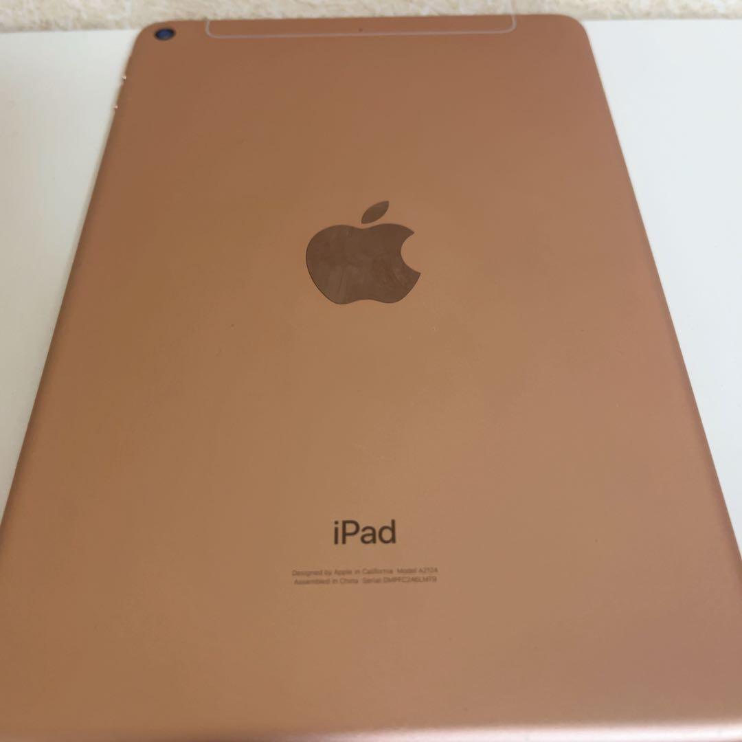iPad 本体 ローズゴールド 中古品 WiFiモデル 64GB