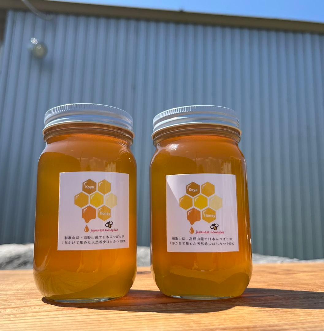天然熟成2年　希少　日本ミツバチ 国産天然はちみつ100%600g(Y1S2箱)