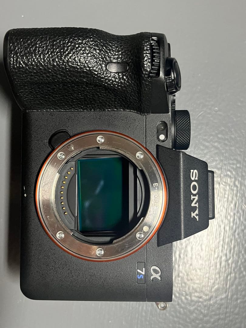 防湿庫保管_SONY α7SⅢ 本体 バッテリー2本 ケージ ストラップ