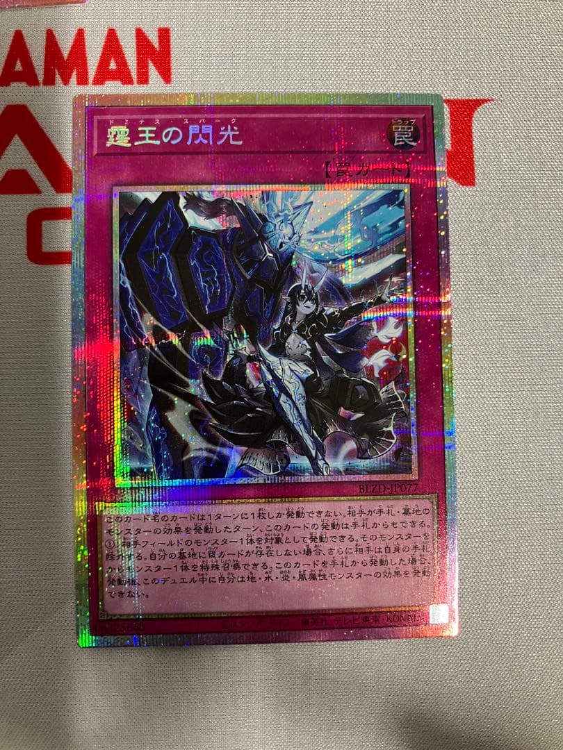 霊王の閃光 プリシク