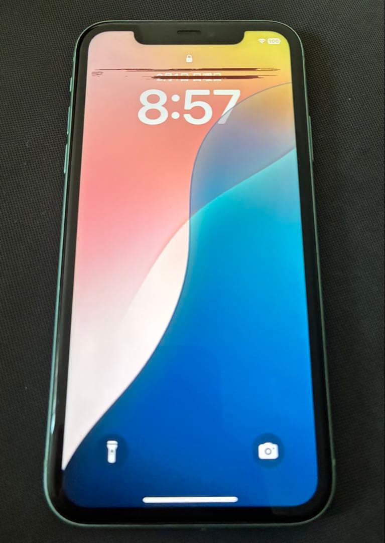 【液晶画面に若干難あり】Apple iPhone 11 64GBグリーン