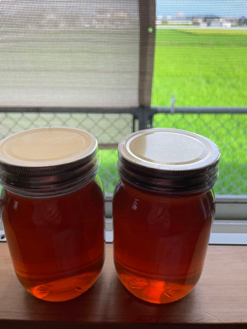 令7年　しぼりたて生蜂蜜620g✖️2(ケンポナシ)