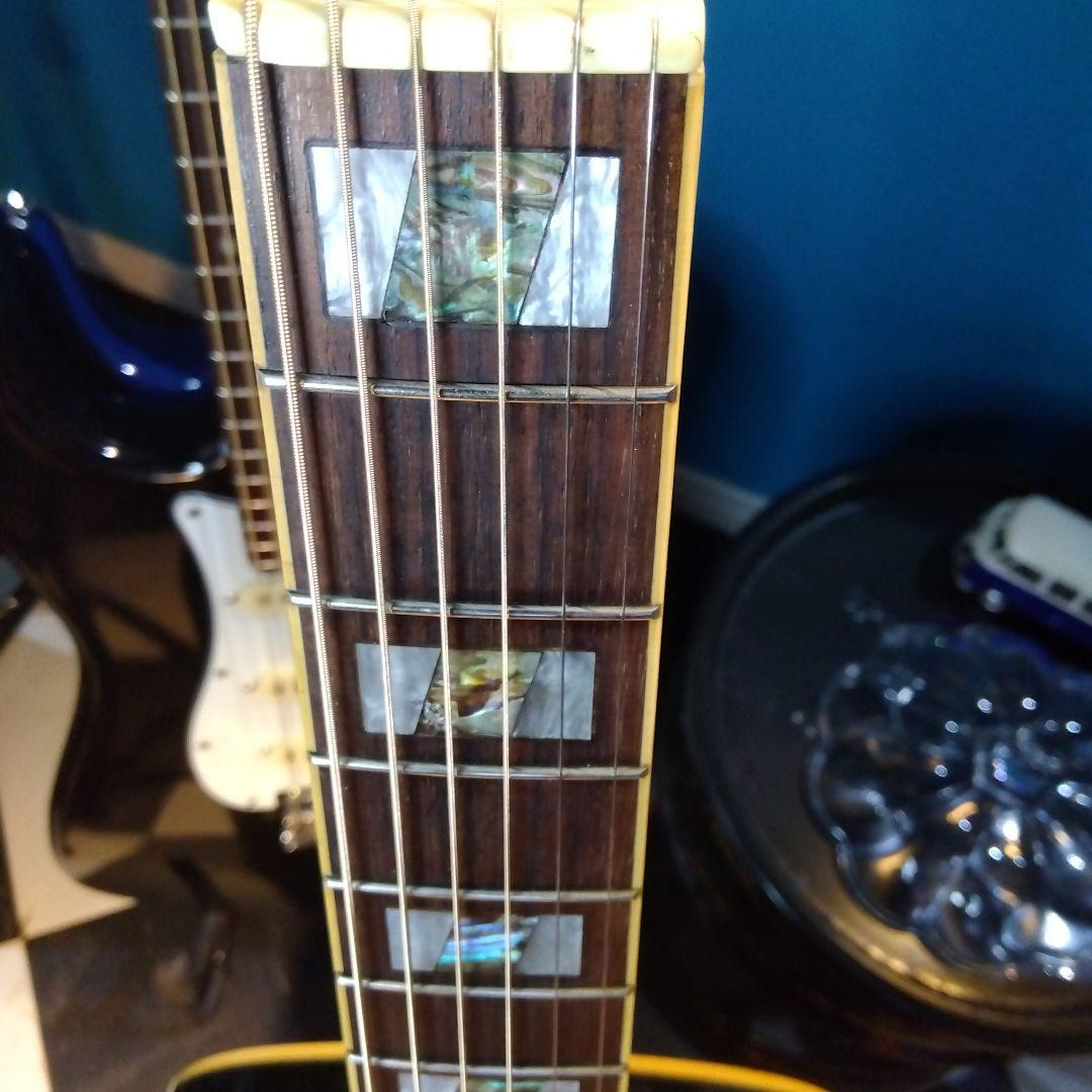 Ibanez DTA20TBS1301 アコースティックギタートラベルサイズ…