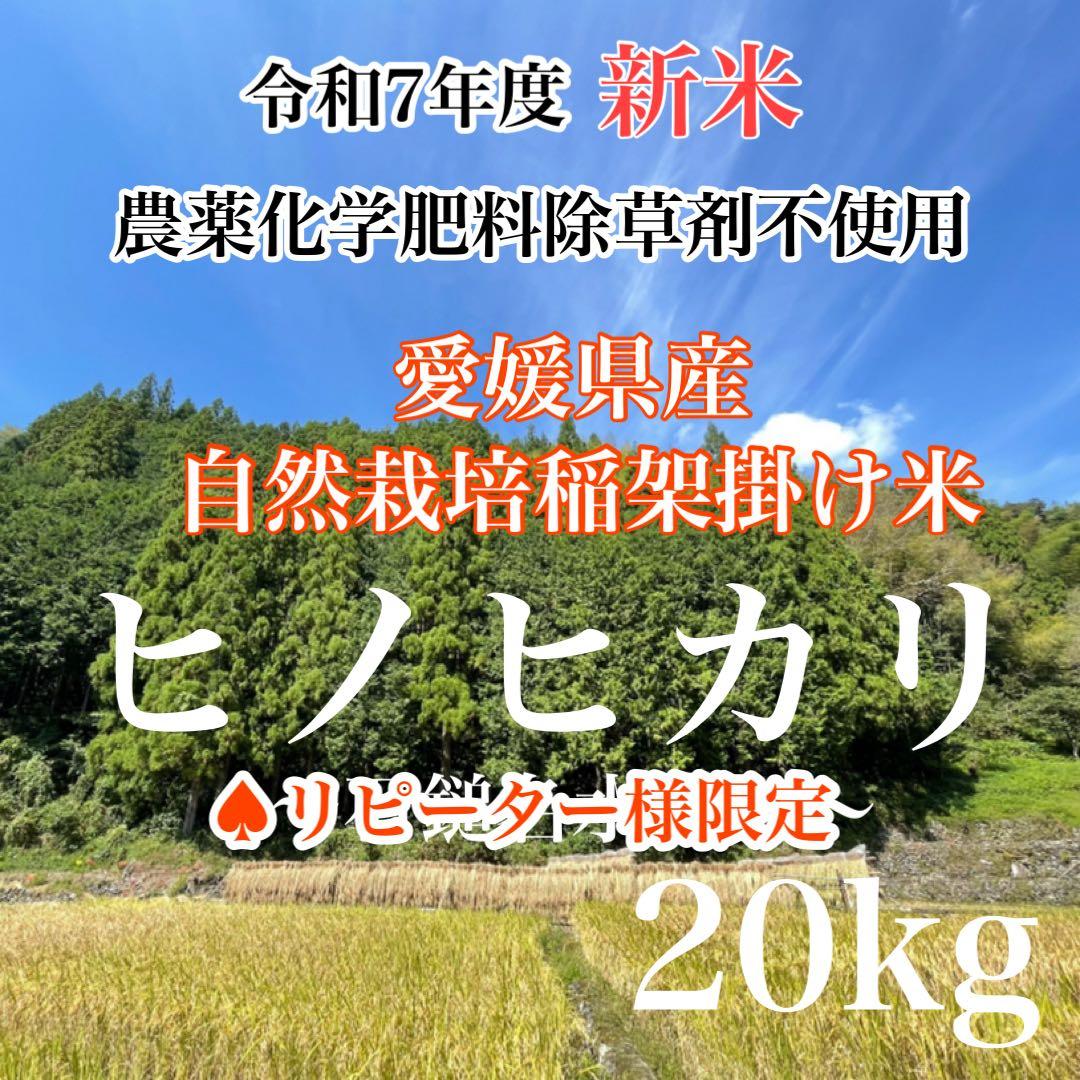 ♠︎リピーター様限定♠︎ 令和7年度米　愛媛県産ヒノヒカリ稲架掛け米 20kg