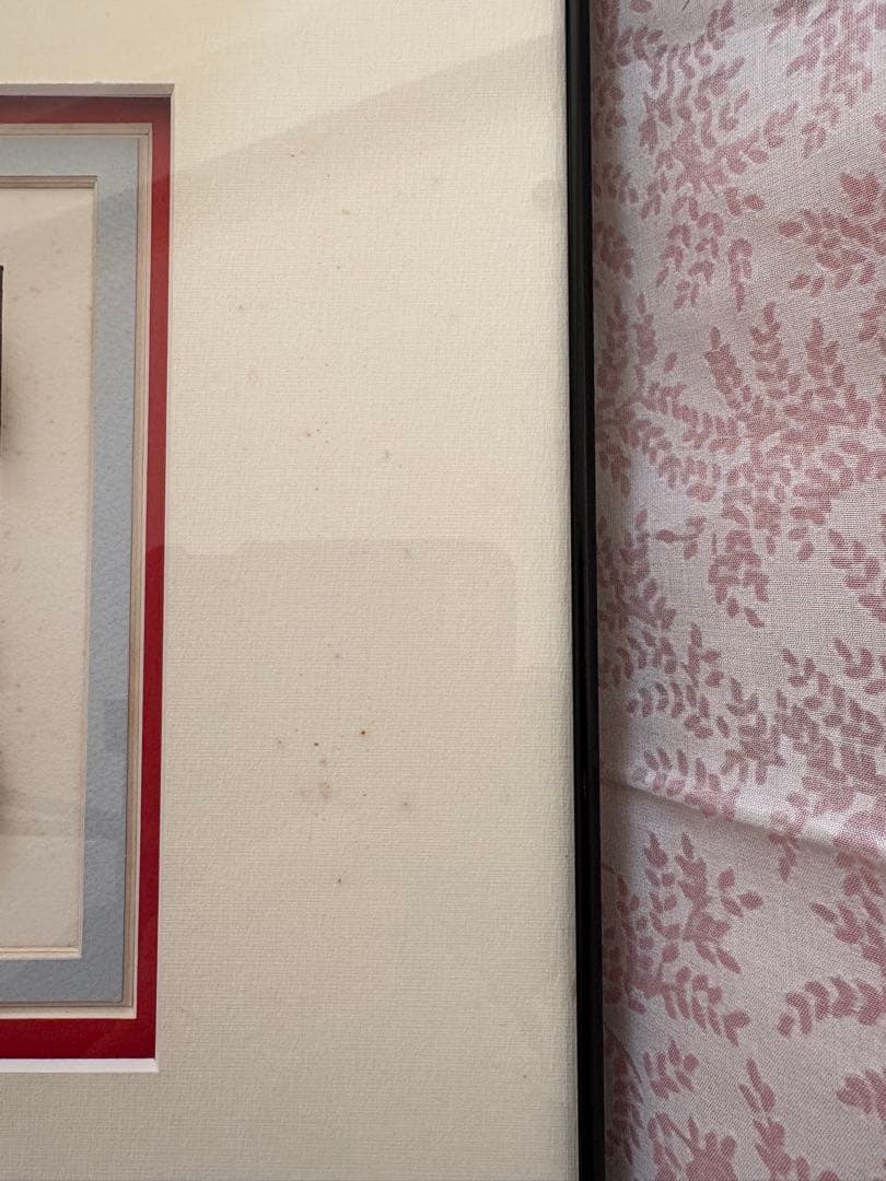 真作■ジェームスリジィ 3Dシルクスクリーン 版画 PALS■絵画