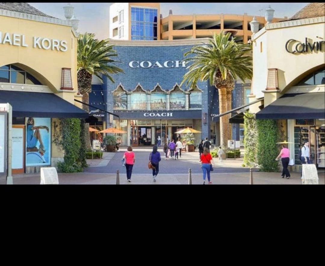 コーチ 長財布 COACH レザー シグネチャー ストロベリー 苺 プリント