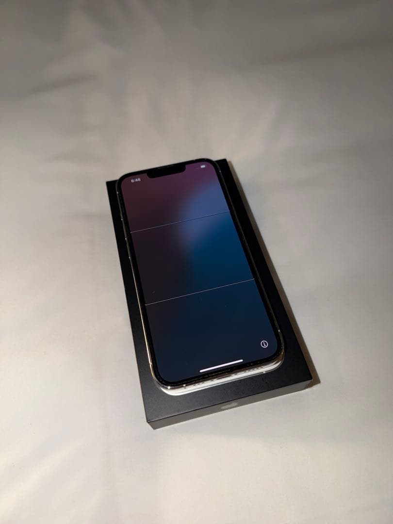 iPhone 13 Pro シルバー 256GB simフリー 消音機能有