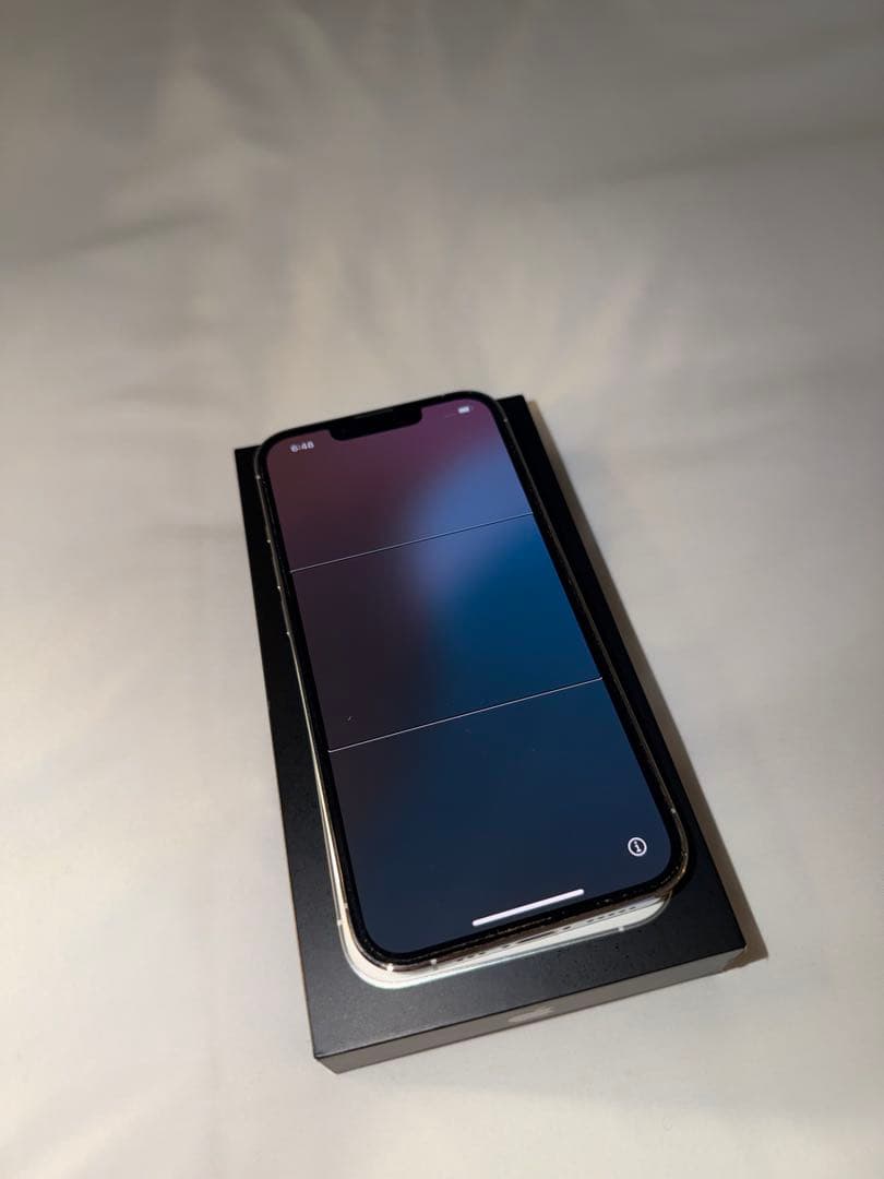 iPhone 13 Pro シルバー 256GB simフリー 消音機能有