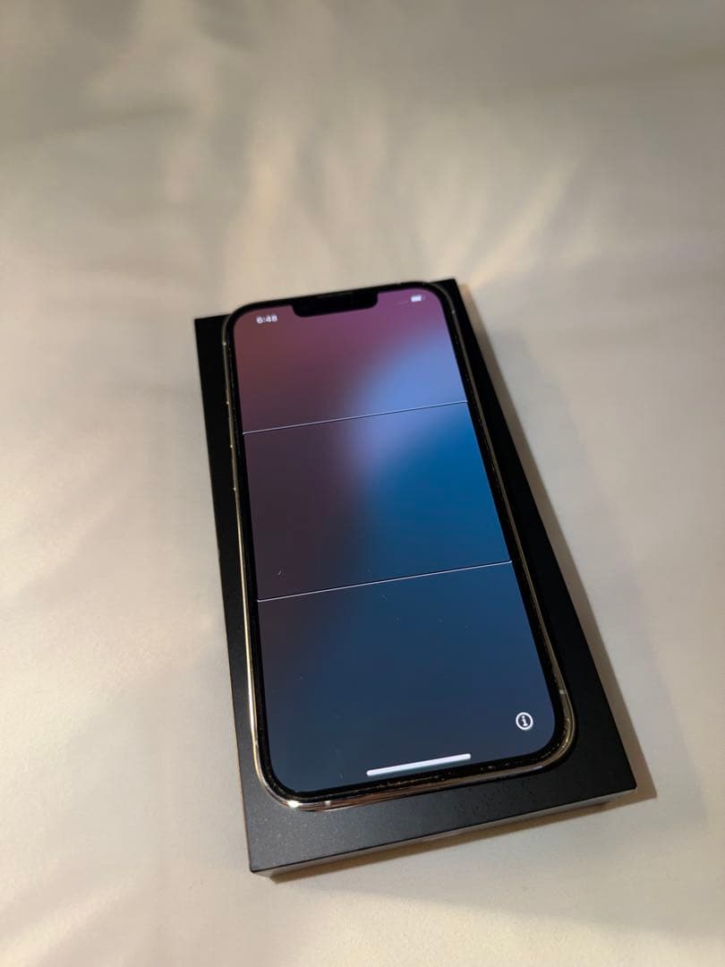 iPhone 13 Pro シルバー 256GB simフリー 消音機能有