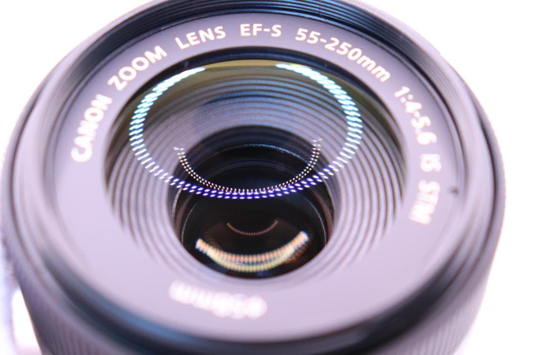 【新品級・保証付き】Canon EF-S 55-250mm IS STM レンズ