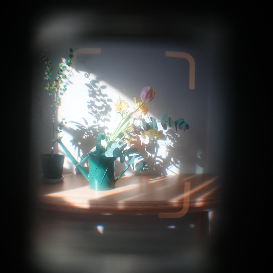 RICOH auto half SE【整備済完動品】