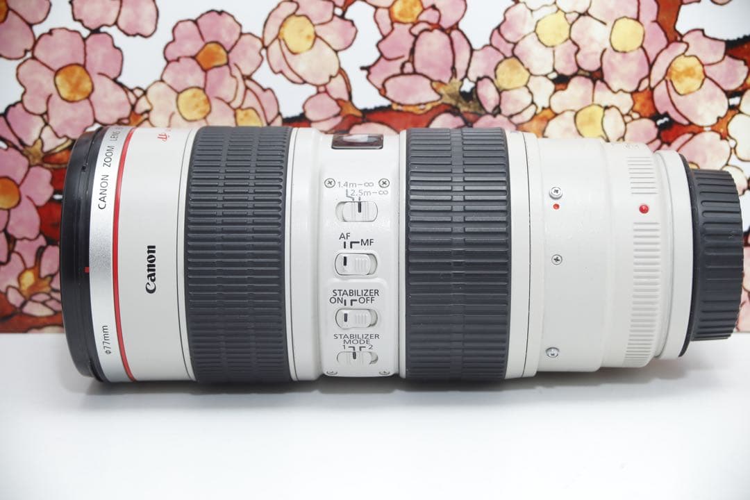A*様 ❤️大三元レンズ❤️キヤノン EF 70-200mm f2.8L IS