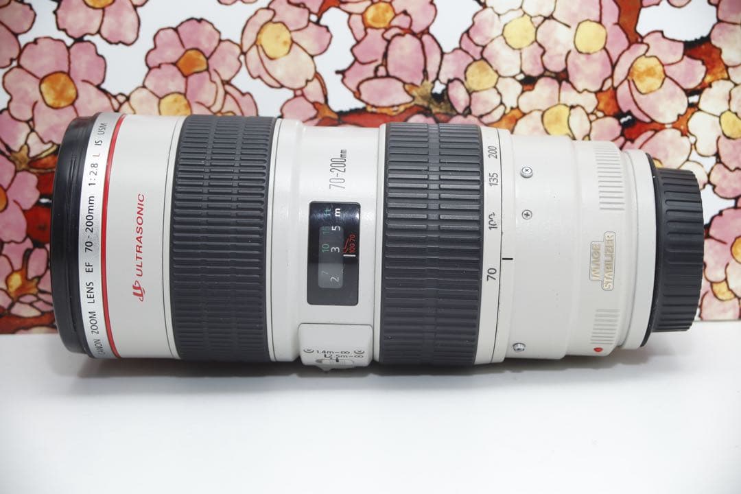 A*様 ❤️大三元レンズ❤️キヤノン EF 70-200mm f2.8L IS