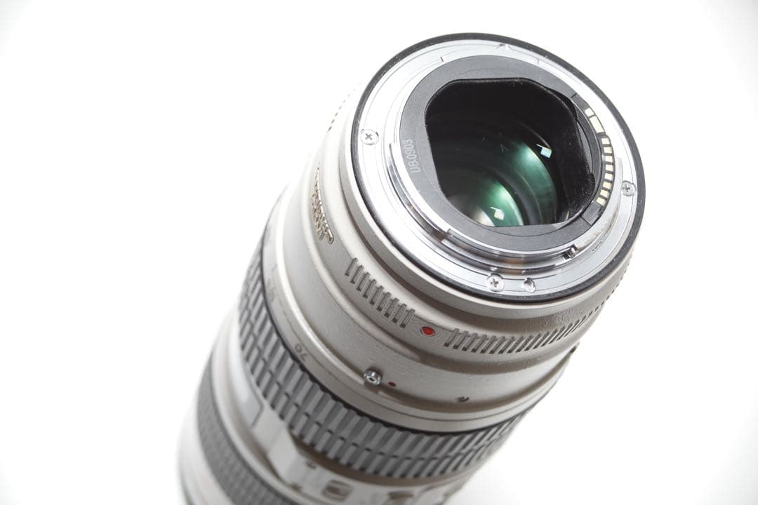 A*様 ❤️大三元レンズ❤️キヤノン EF 70-200mm f2.8L IS