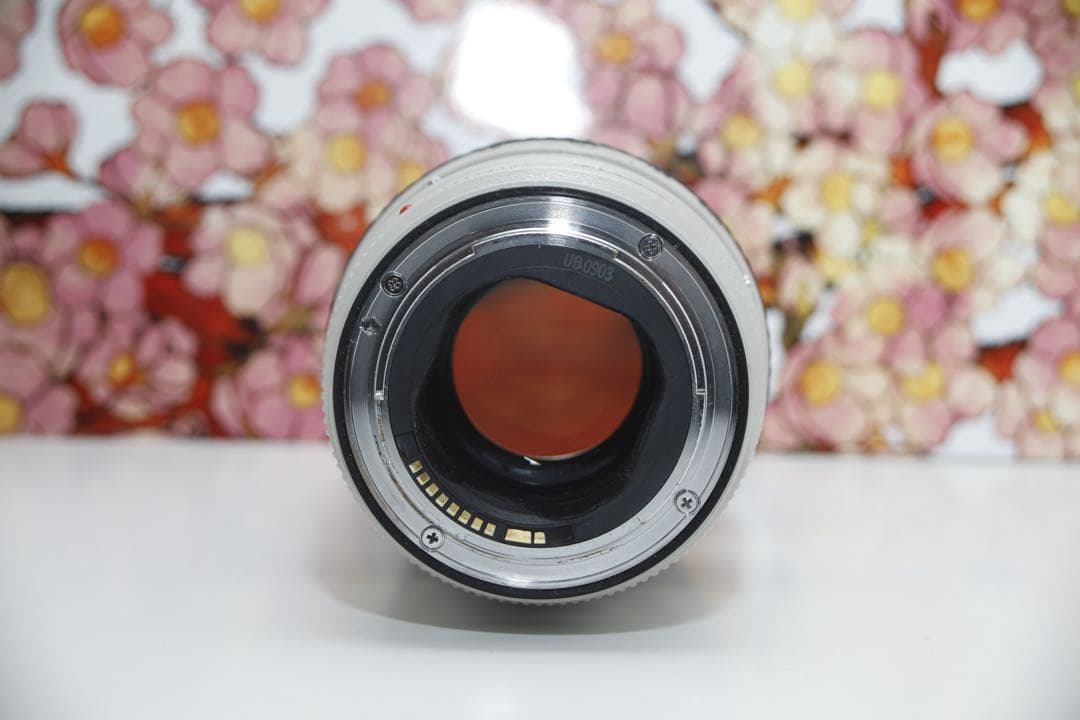 A*様 ❤️大三元レンズ❤️キヤノン EF 70-200mm f2.8L IS