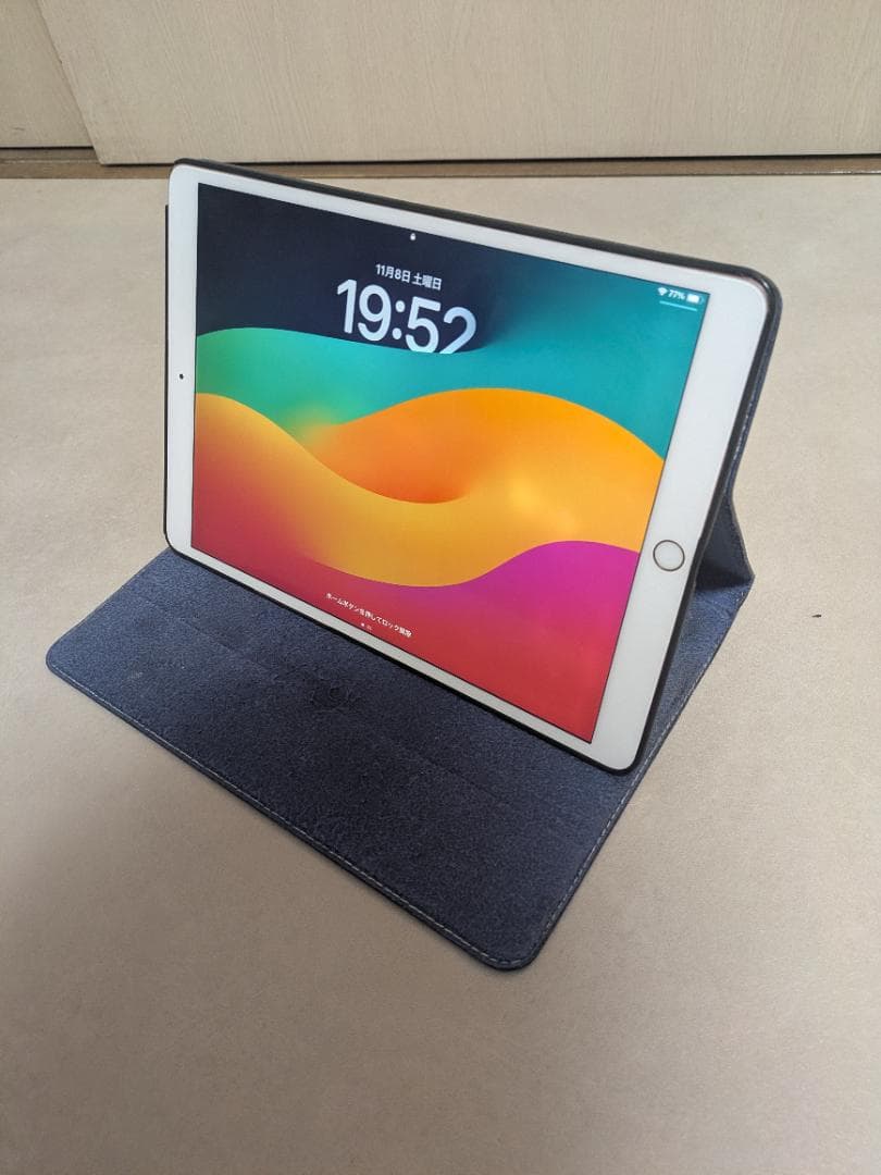 iPadPro (第1世代) 256GB/Wi-fi/10.5インチ カバー付き