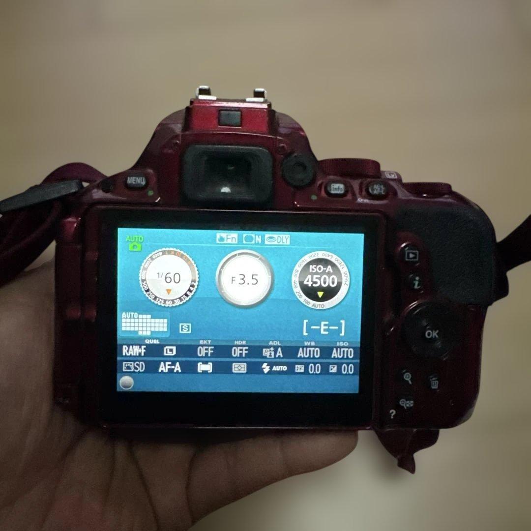 【値下げします！】Nikon 一眼レフカメラ D5500 18-55 VR II