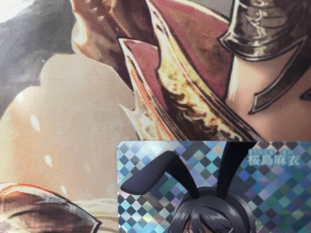 シュレディンガーの兎　桜島麻衣　VT テリトリー　ビルディバイド　青ブタ