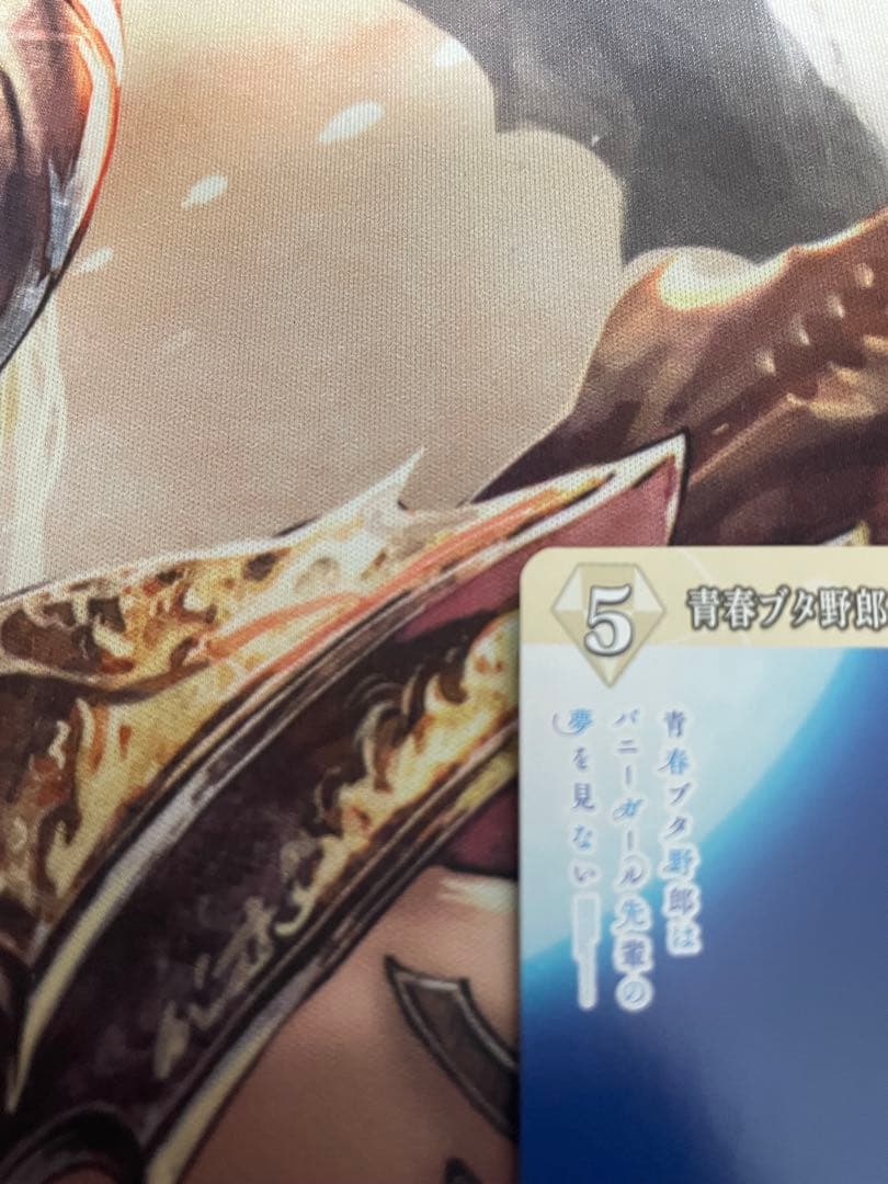 シュレディンガーの兎　桜島麻衣　VT テリトリー　ビルディバイド　青ブタ