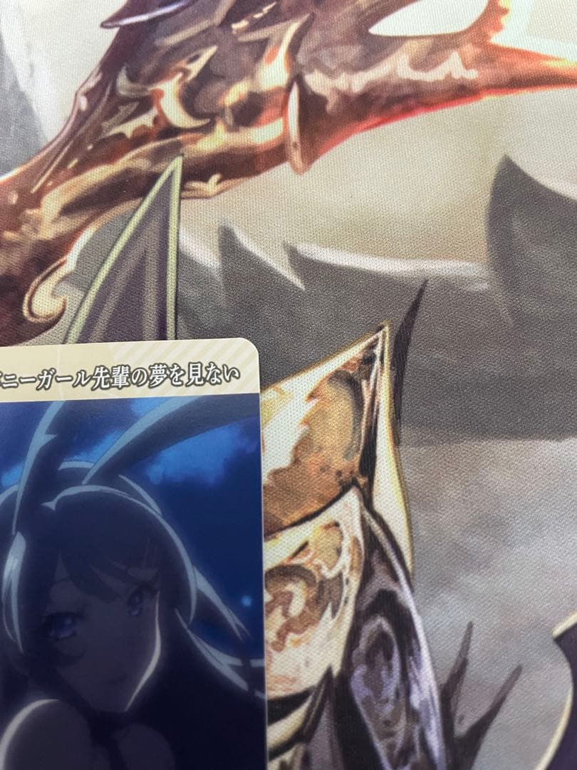 シュレディンガーの兎　桜島麻衣　VT テリトリー　ビルディバイド　青ブタ