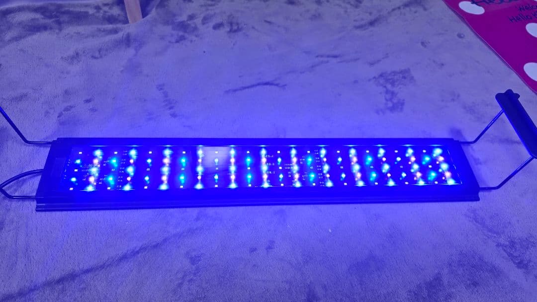 ボルクスジャパン Grassy Legna Marine 60cm