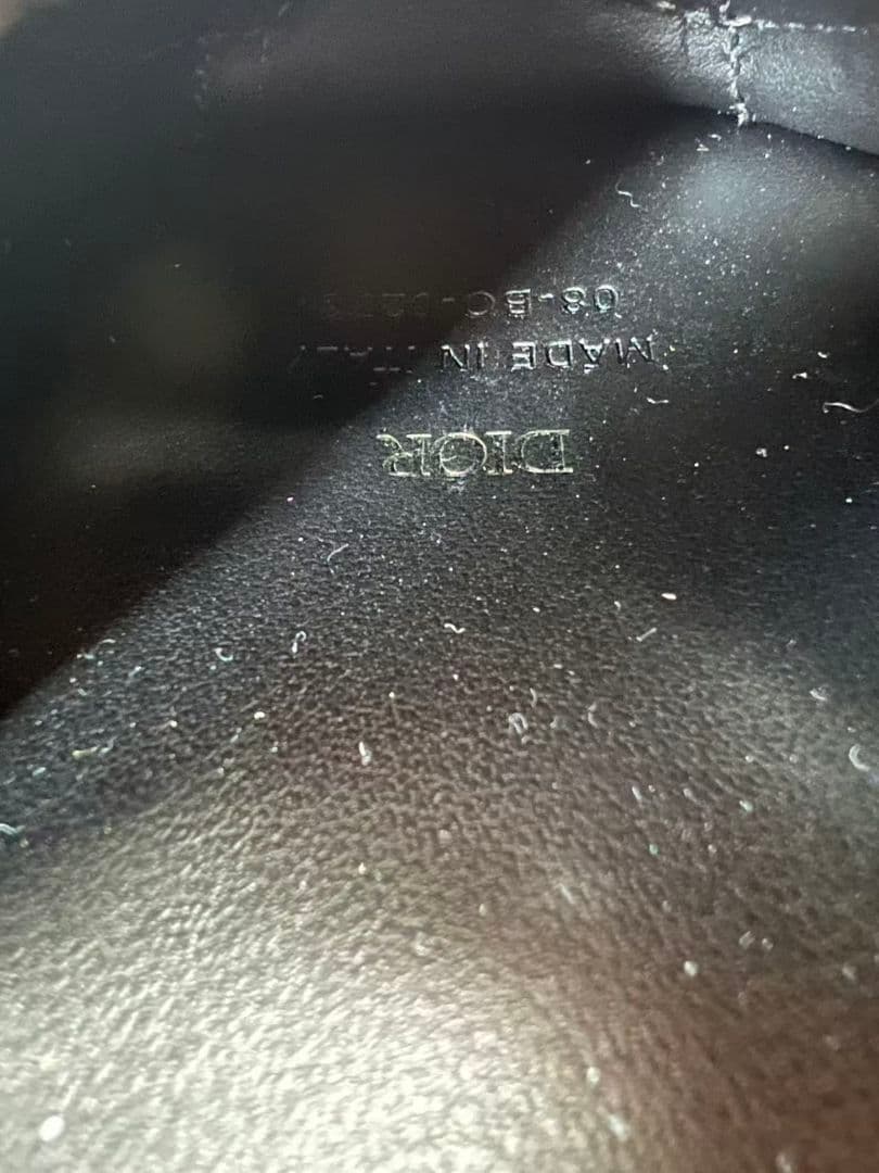 Dior ディオール　犬型AIR PODSケース新品未使用