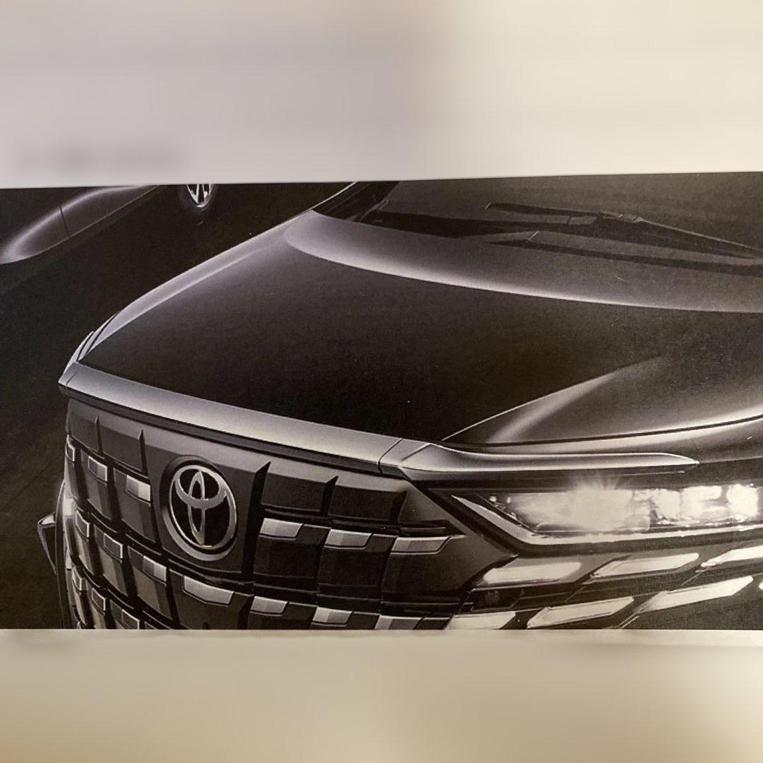 アルファード/ヴェルファイア40系フードガーニッシュ