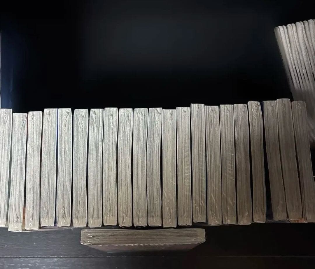 不滅のあなたへ 全22巻セット