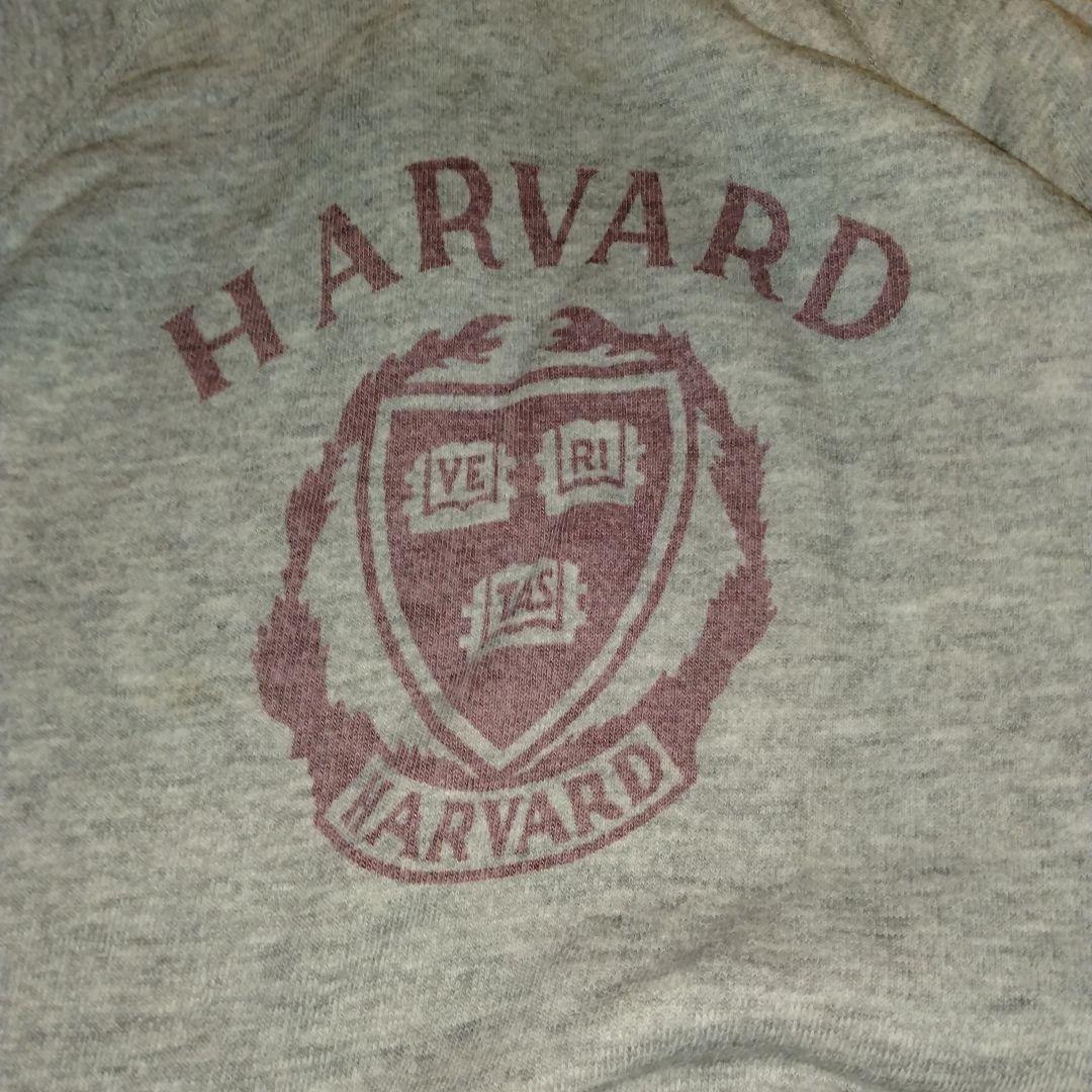 チャンピオン　カレッジ　スウェット　パーカー　トリコタグ