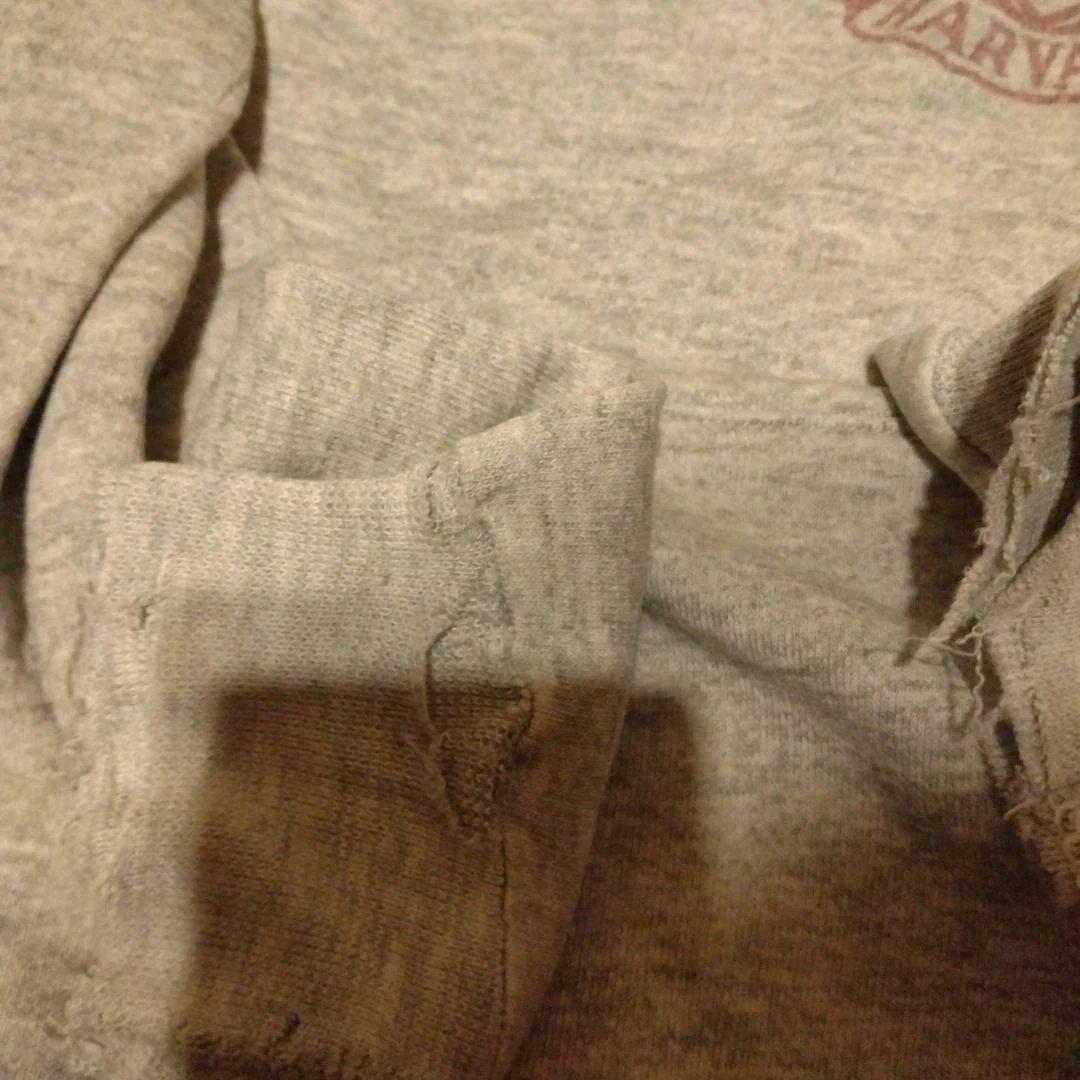 チャンピオン　カレッジ　スウェット　パーカー　トリコタグ