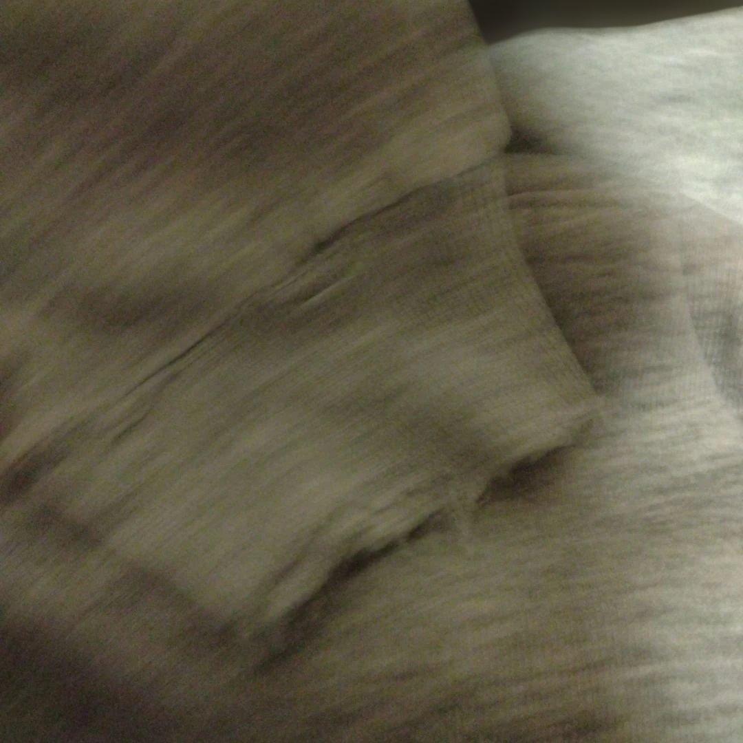 チャンピオン　カレッジ　スウェット　パーカー　トリコタグ