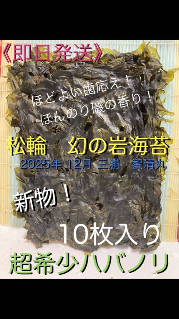 【即日発送】アマー　新物　希少ハバノリ神奈川三浦松輪幻の岩海苔10枚入り