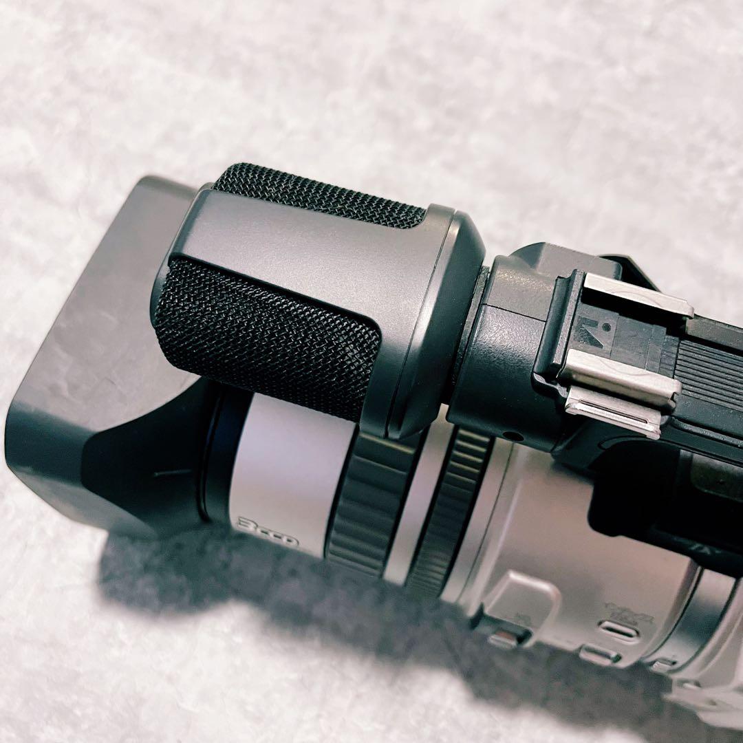 【極美品】SONY Handycam DCR-VX2000 miniDV