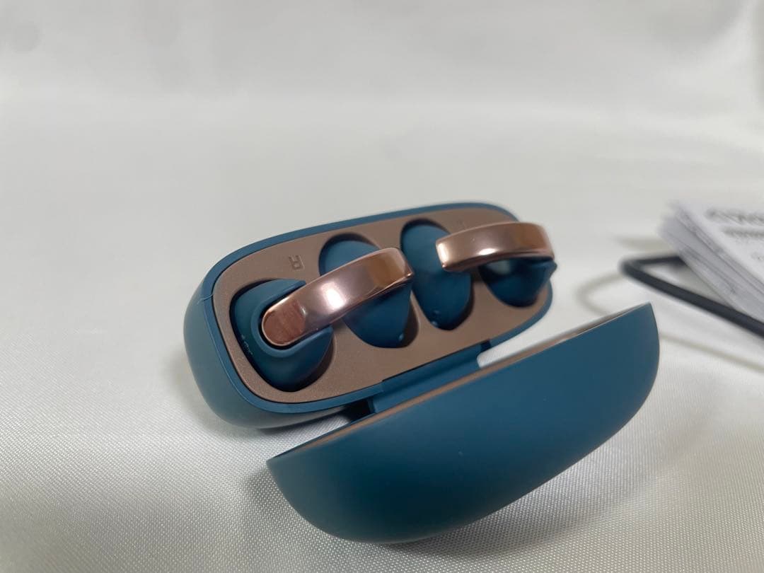 VICTOR ビクター イヤホン HA-NP1T