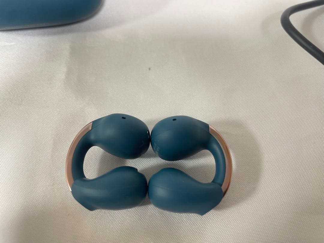 VICTOR ビクター イヤホン HA-NP1T