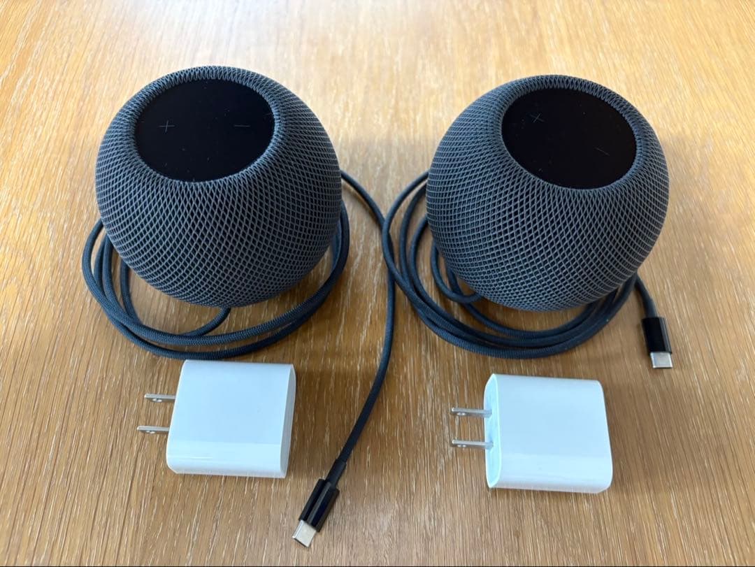 アップル Apple Pod mini スペースグレイ MY5G2JA