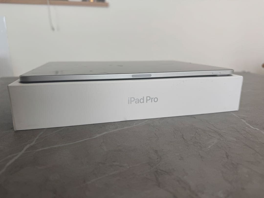 ともiPad Pro 12.9インチ第4世代 256GB シルバー