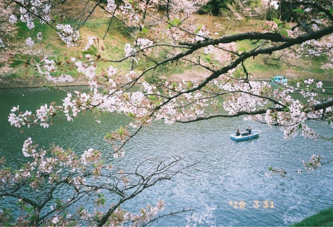 FUJIFILM 富士フィルム Tiara Zoom フィルムカメラ