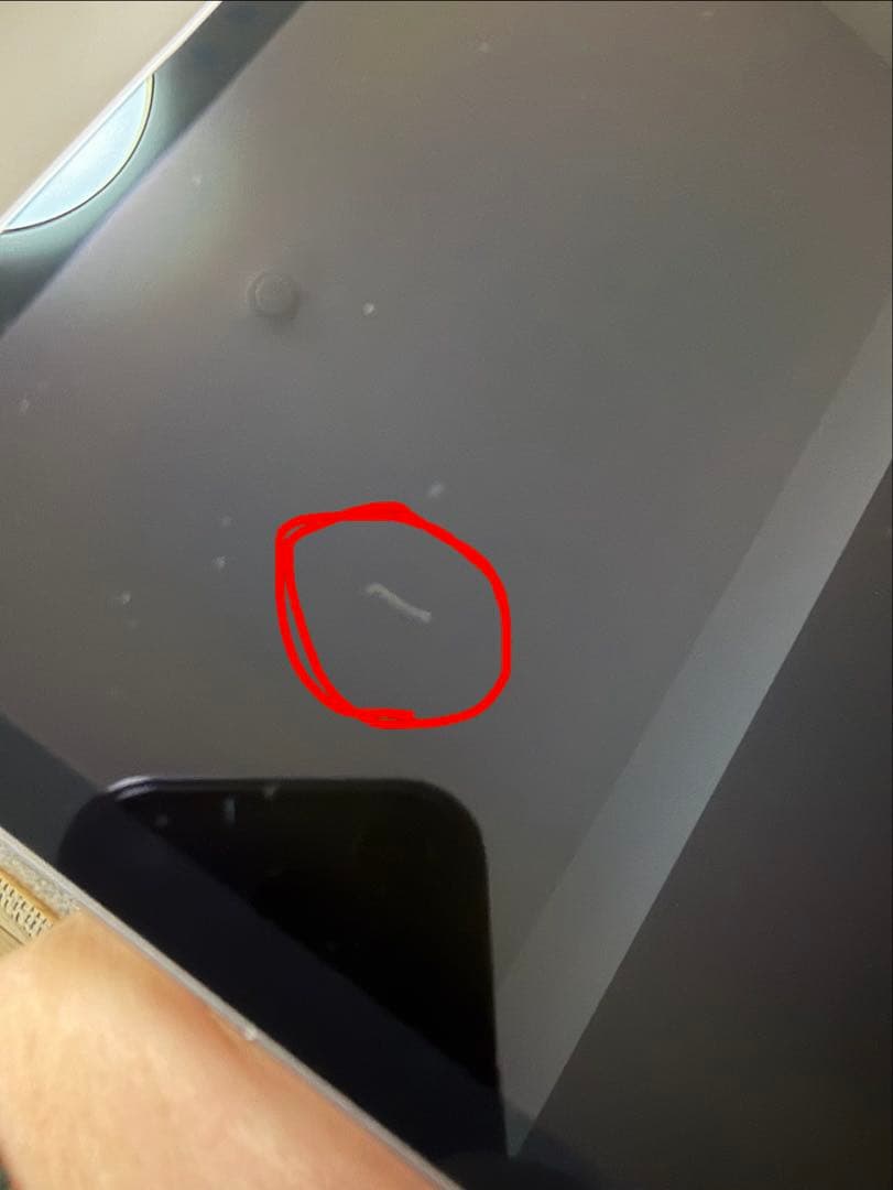 【ポテチ】iPad Pro 11インチ、Apple Penci