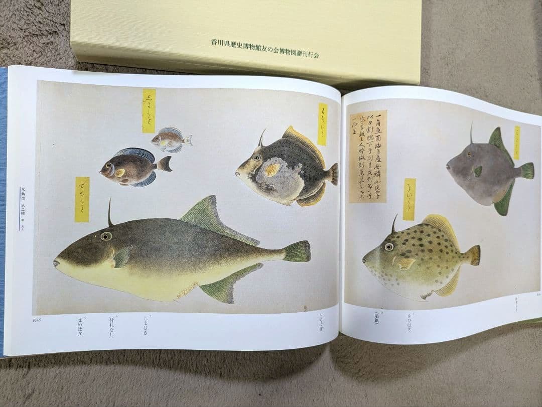 【貴重！美品】高松松平家所蔵　衆鱗図（第一帖〜第四帖）