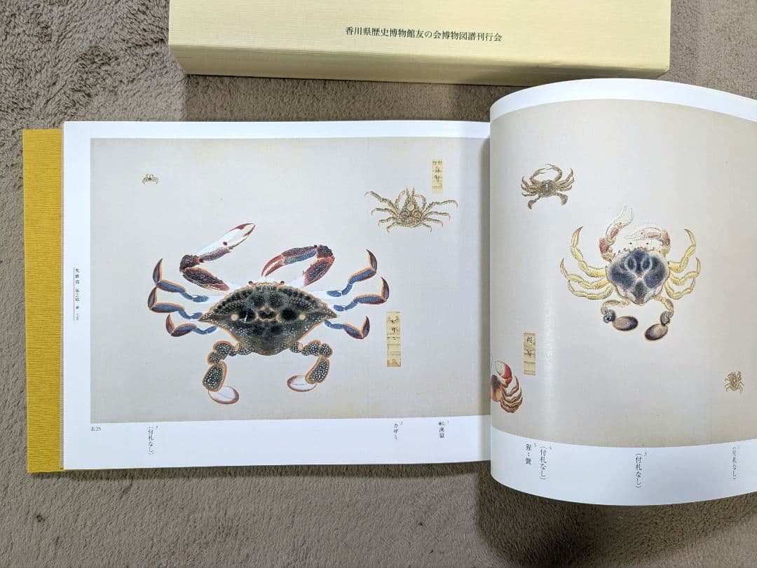 【貴重！美品】高松松平家所蔵　衆鱗図（第一帖〜第四帖）